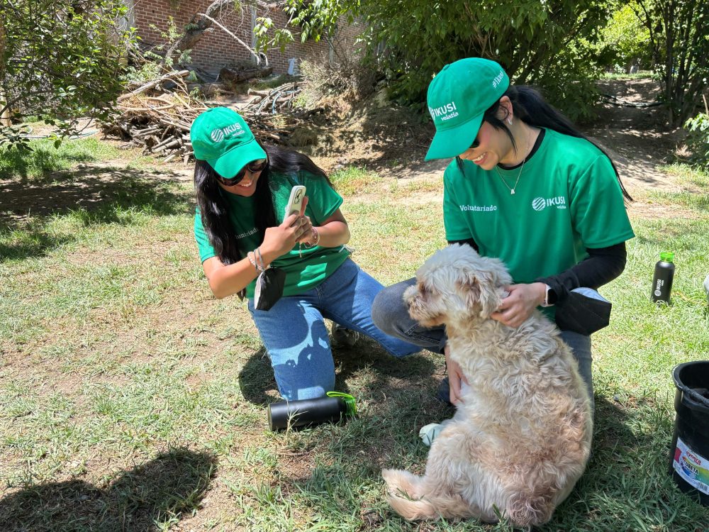 Voluntariado Ikusi 2 Voluntariado Ikusi 2