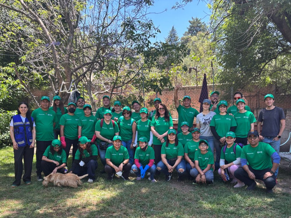 Voluntariado Ikusi Voluntariado Ikusi Adopción